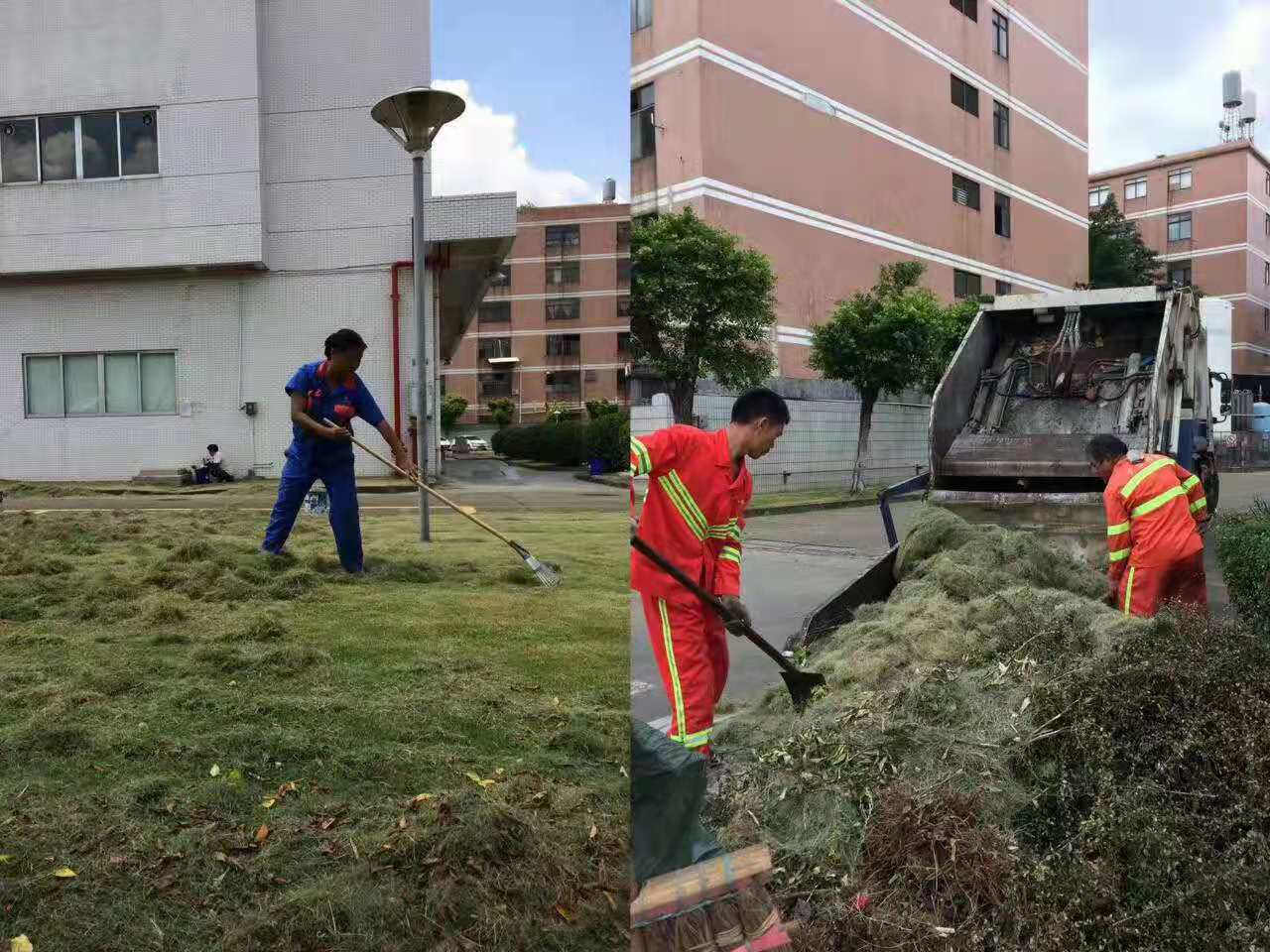 佛山園林綠化工程注重生態(tài)保護(hù)