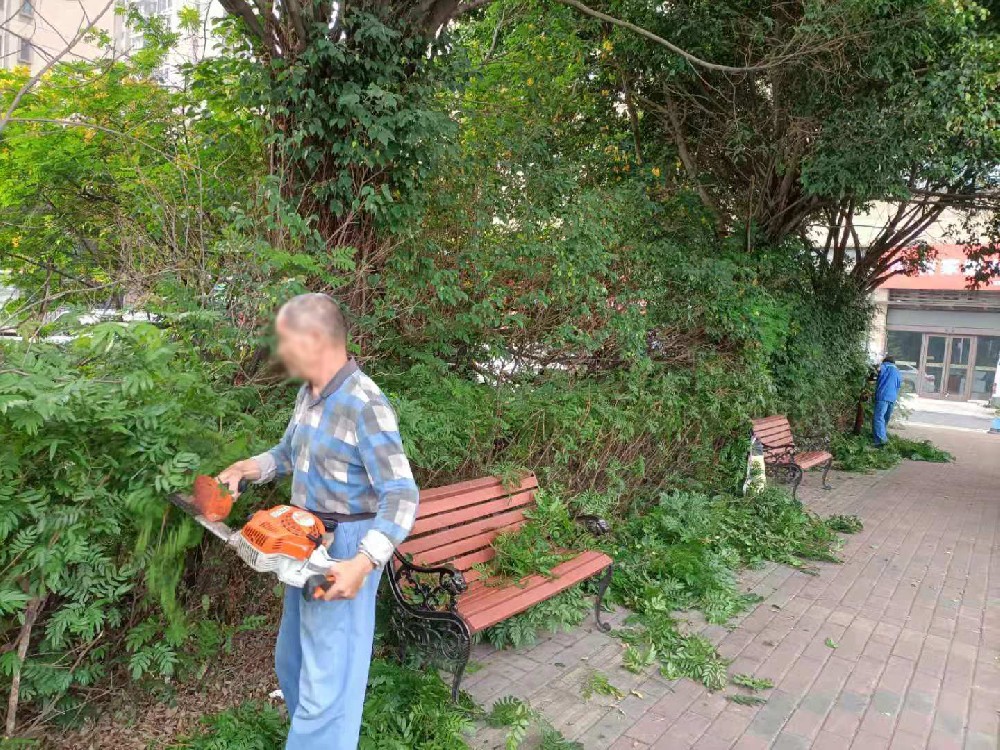 佛山學校校園綠化修剪養(yǎng)護